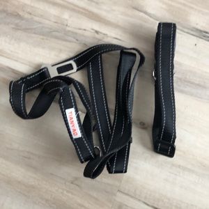 Dog collar and leash